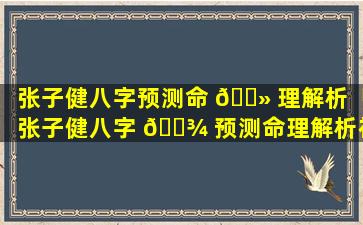 张子健八字预测命 🌻 理解析「张子健八字 🌾 预测命理解析视频」